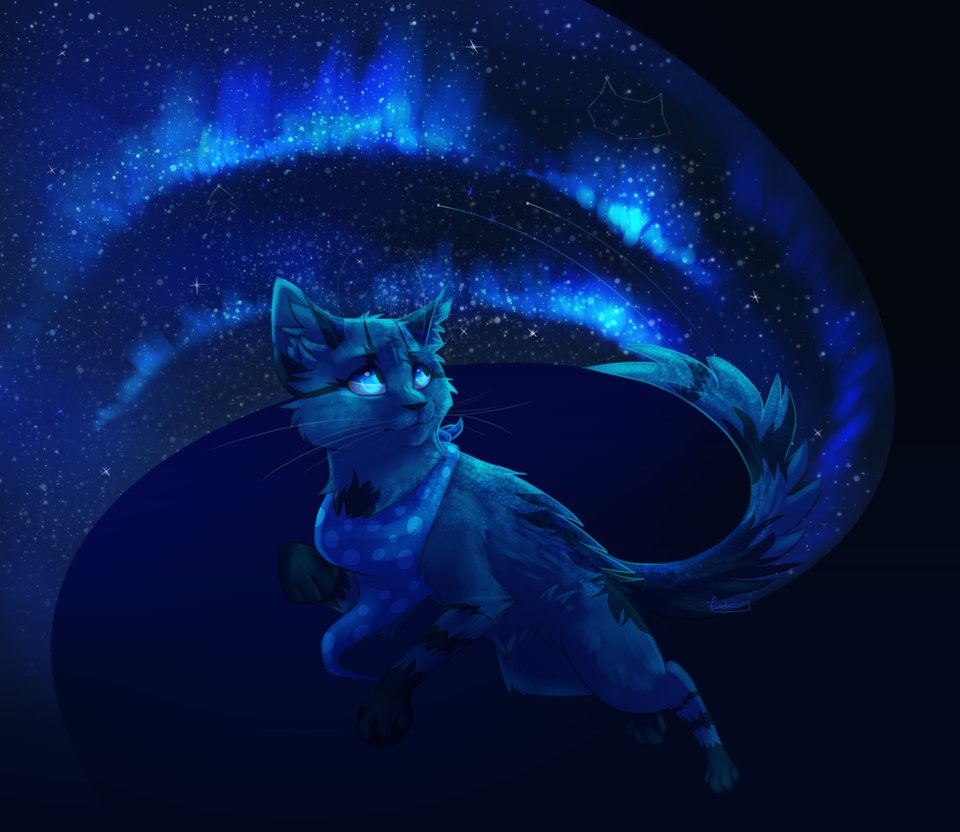 Blue Cat’S Tunel