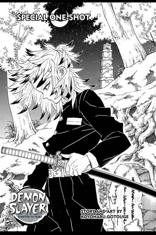 Kimetsu no Yaiba - Special One-shot